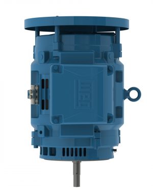 07536OT3H364JMV-W40 WEG AC Motor