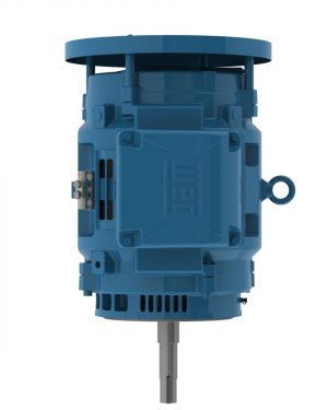 07536OT3V364JPV-W40 WEG AC Motor