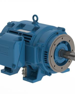 10018OT3E404JM-W40 WEG AC Motor