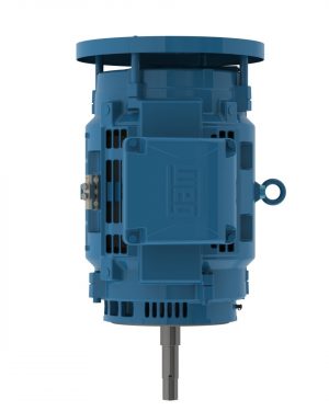 10018OT3E404JPV-W40 WEG AC Motor