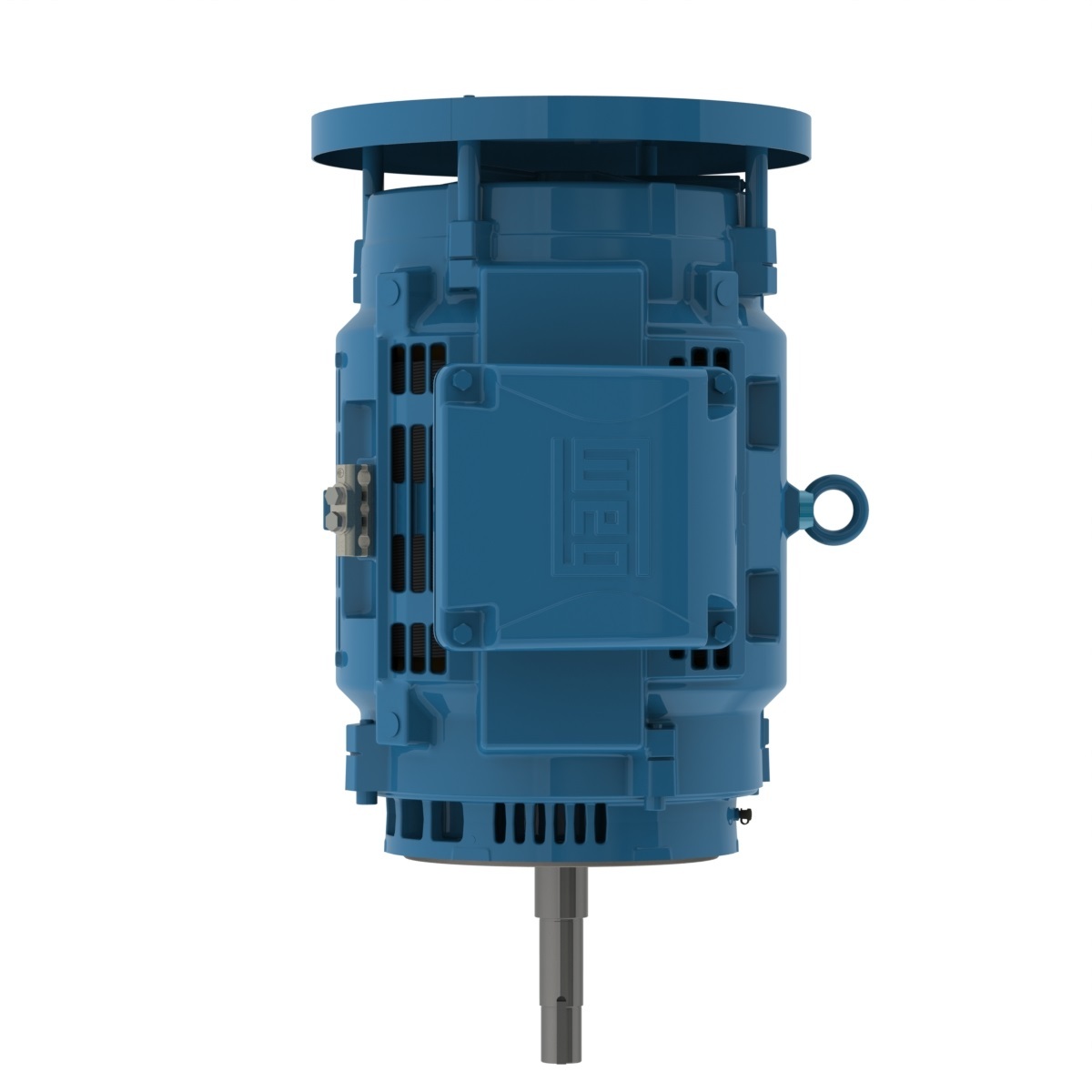 10018OT3E404JPV-W40 WEG AC Motor