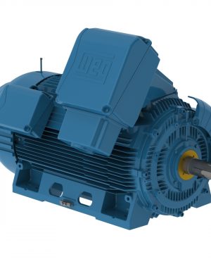 30018ET3X5009-W50MV WEG AC Motor
