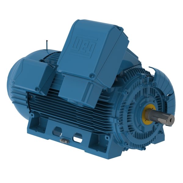 50012ET3X5809-W50MV WEG AC Motor