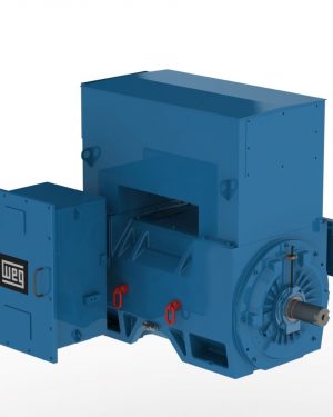 16166552 WEG AC Motor
