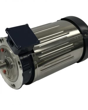 1312200400 WEG AC Motor