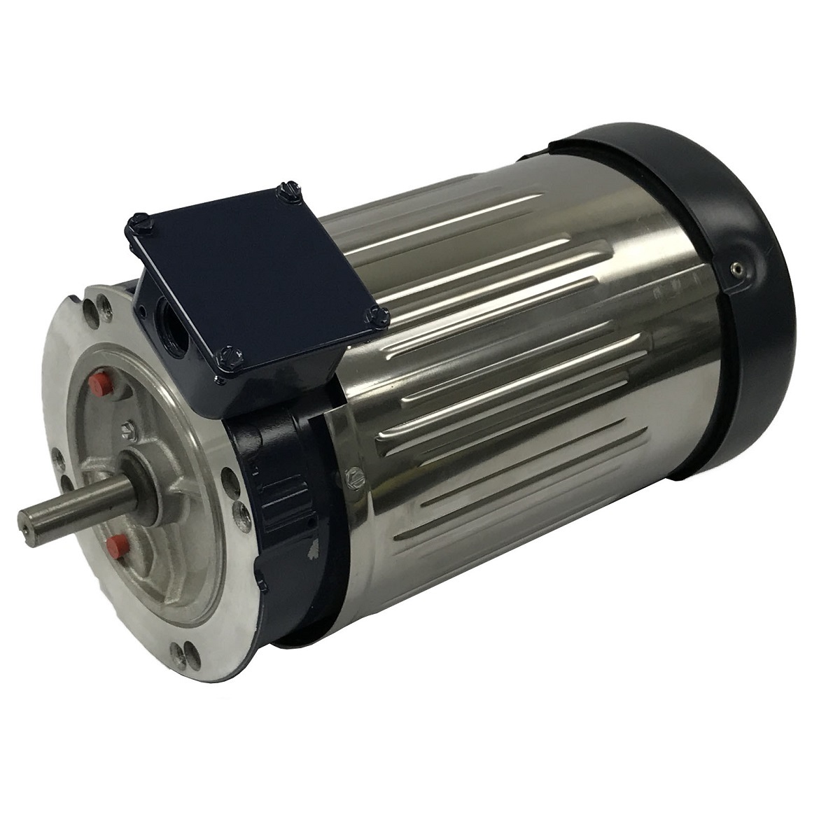 1312200400 WEG AC Motor
