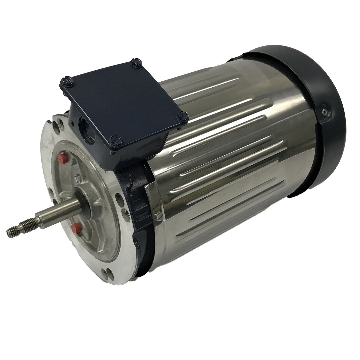 1313171403 WEG AC Motor
