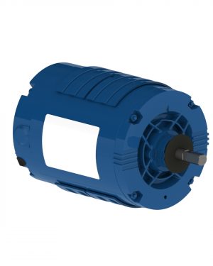 1331660402 WEG AC Motor