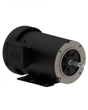 00318ET3E182JP-S WEG AC Motor