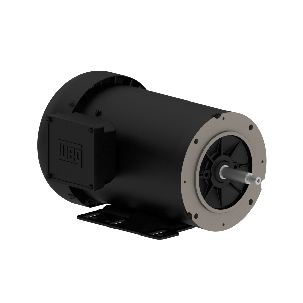 00318ET3E182JP-S WEG AC Motor