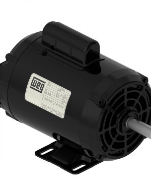 CDS022OM001 WEG AC Motor