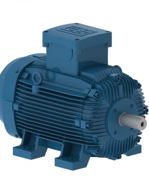 11861060 WEG AC Motor