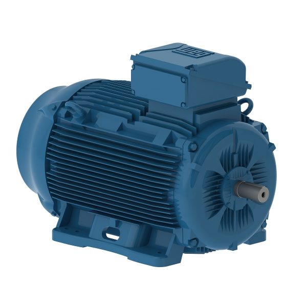 03736ET3E200LF3-W22 WEG AC Motor