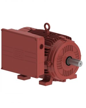 10371317 WEG AC Motor
