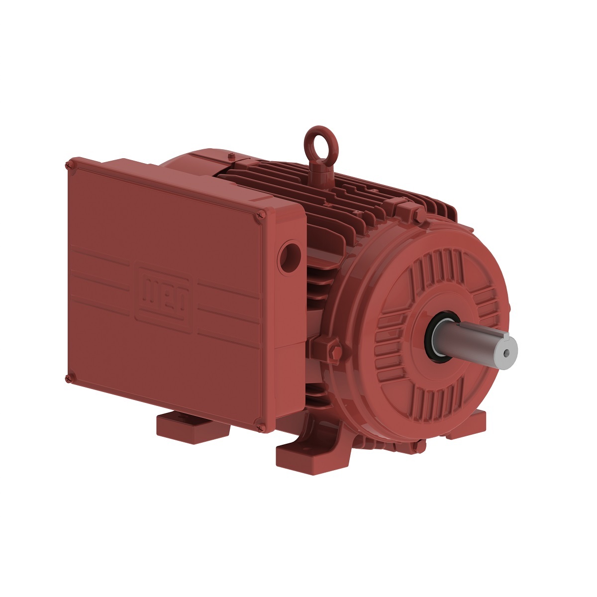 10371317 WEG AC Motor