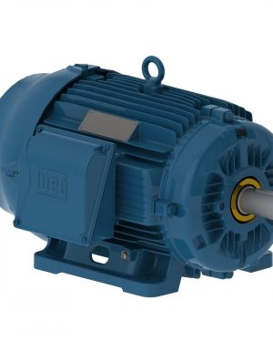 00709ST3QIE256T-W22 WEG AC Motor