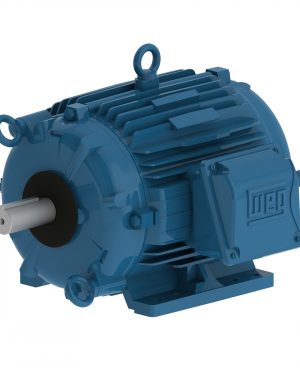 00318AT3HCT182T-W22 WEG AC Motor