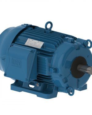 00712ET3HCT254TF1-W2 WEG AC Motor