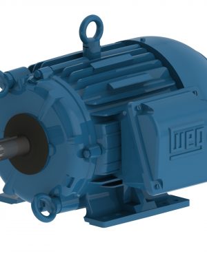 00512ET3HCT215T-W22 WEG AC Motor