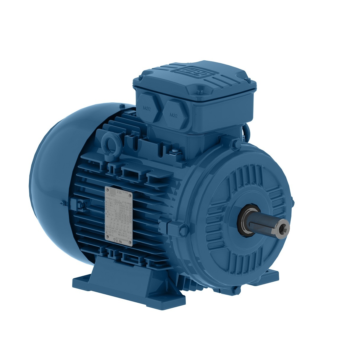 00112ET3EAL100L-W22 WEG AC Motor