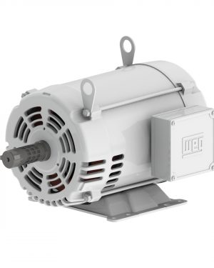 00312OS3EOW213T WEG AC Motor