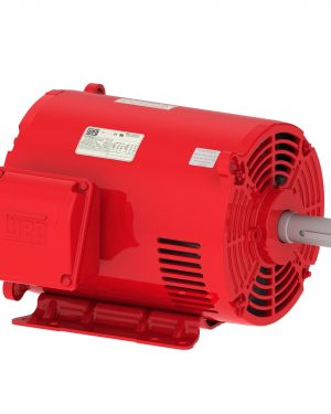 02018OP3EFP256T-S WEG AC Motor