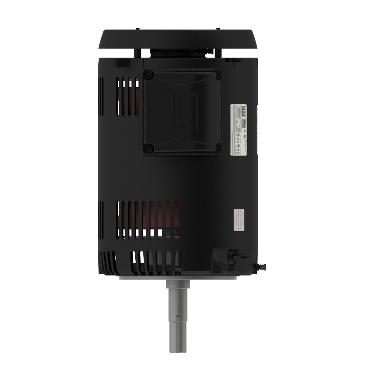 13277091 WEG AC Motor