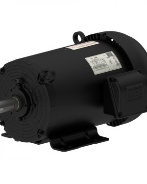 02036ET3V256TC-S WEG AC Motor