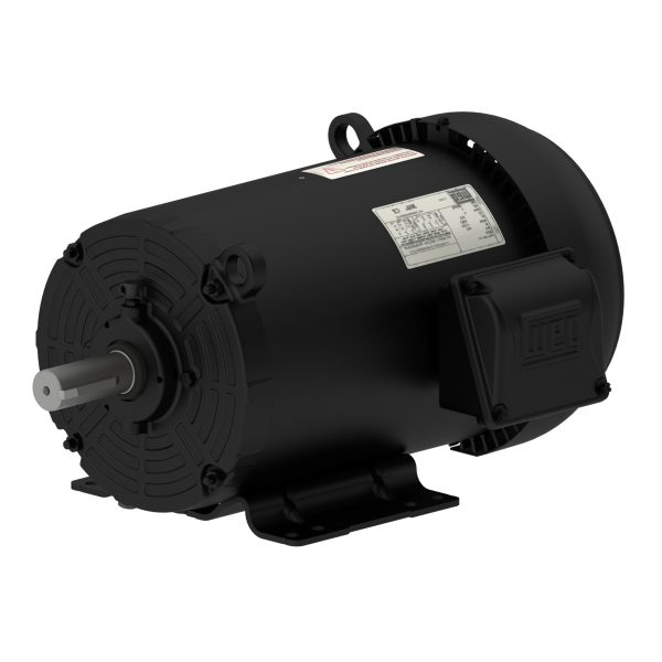02036ET3V256TC-S WEG AC Motor