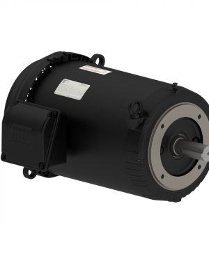 01536ET3ER254TC-S WEG AC Motor
