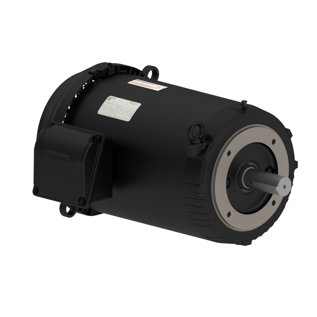 01536ET3ER254TC-S WEG AC Motor