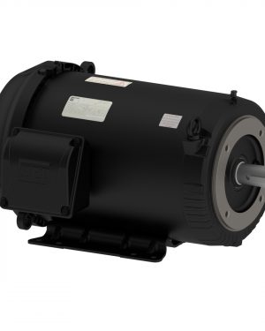 02018ET3H256TC-S WEG AC Motor