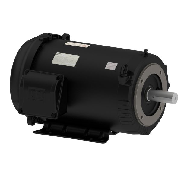 02036ET3H256TC-S WEG AC Motor