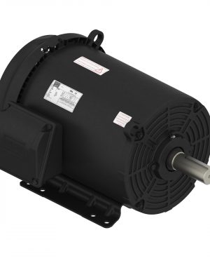 01012ET3E256T-S WEG AC Motor