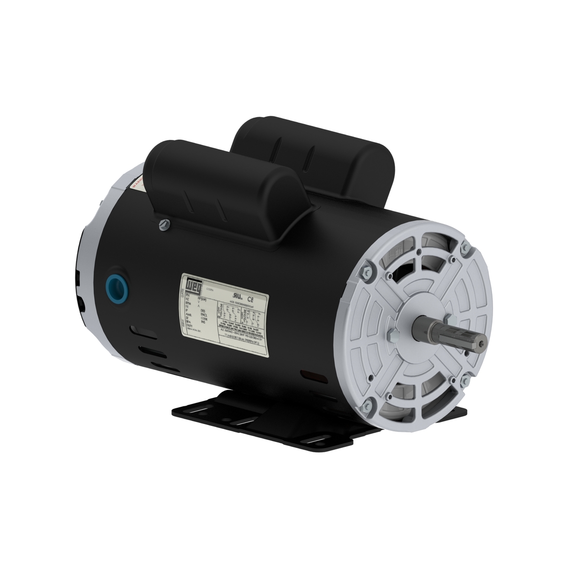 00156OT1B56-S WEG AC Motor