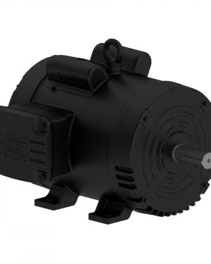 00518OS1CCDOL184T WEG AC Motor
