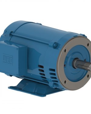 11256633 WEG AC Motor