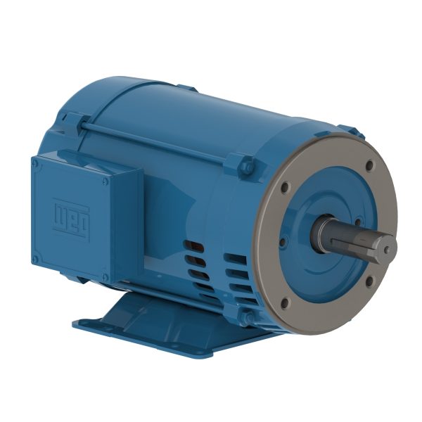 11256633 WEG AC Motor