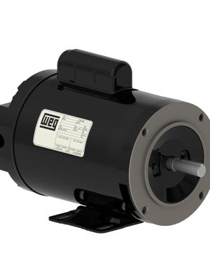 10857764 WEG AC Motor