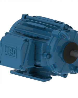 00218AT3HCT145TF1-W2 WEG AC Motor