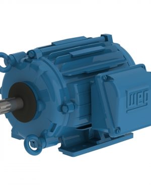 00218AT3HCT145T-W22 WEG AC Motor