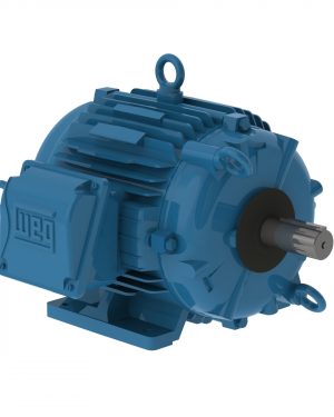 00318AT3HCT182TF1-W2 WEG AC Motor