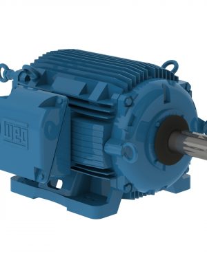 10018AT3ECT405TF1-W2 WEG AC Motor