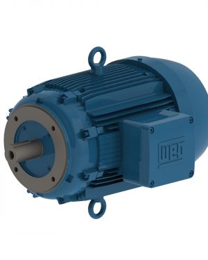 11833296 WEG AC Motor
