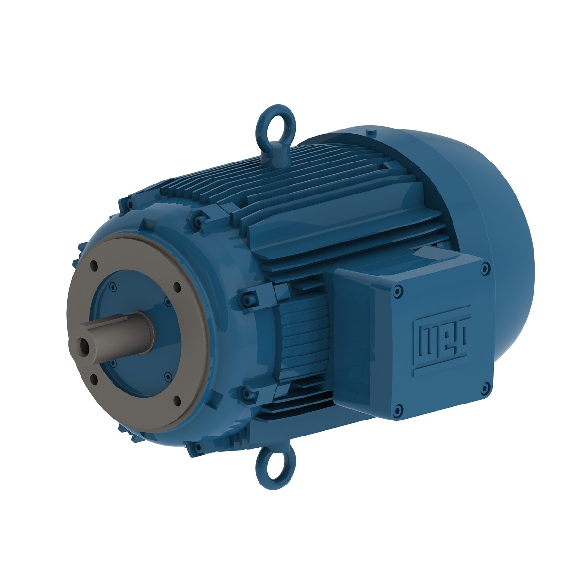 11833296 WEG AC Motor