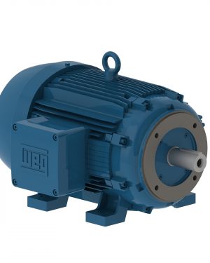 00736XT3E213TC WEG AC Motor