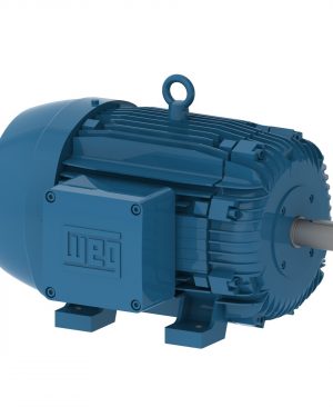 11483365 WEG AC Motor