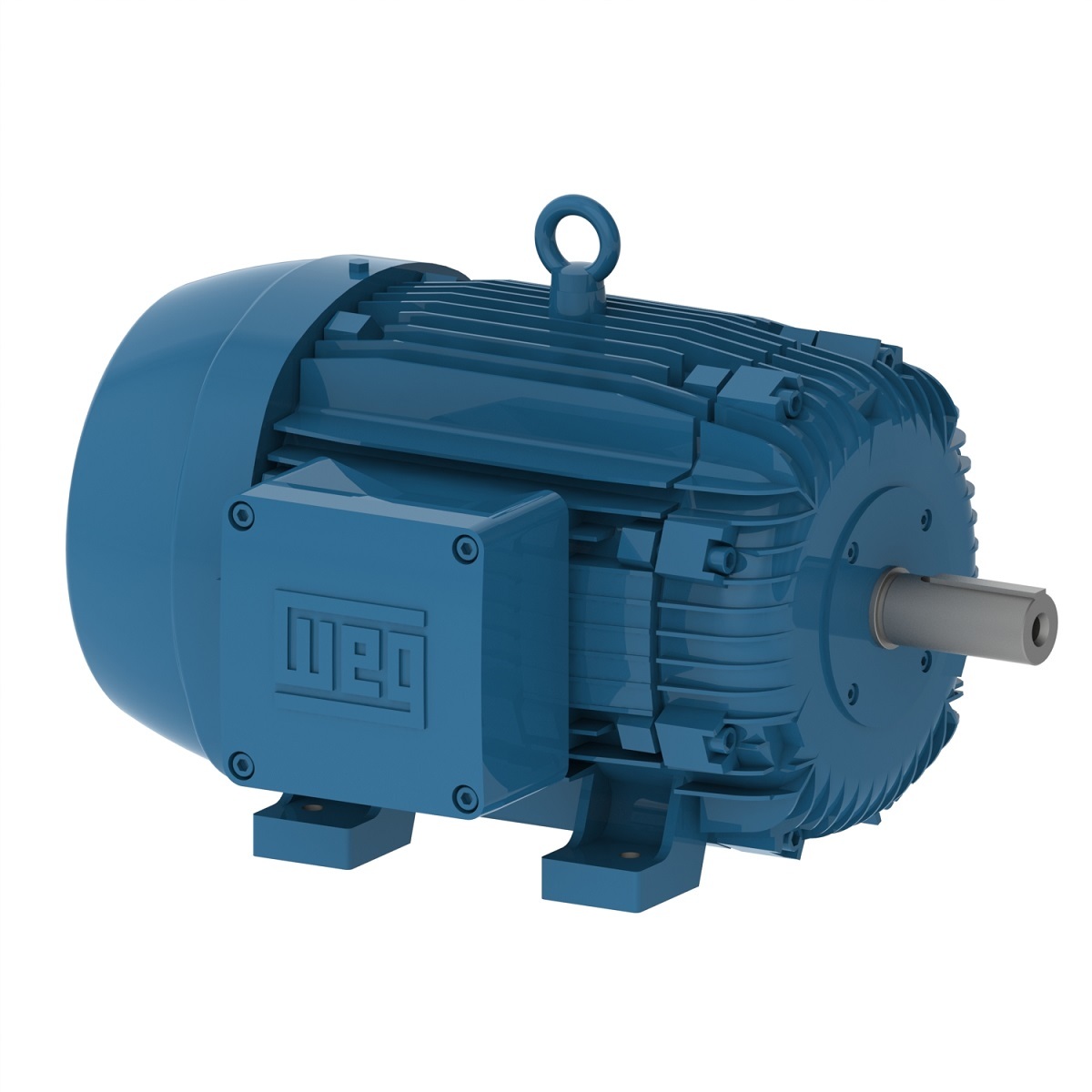11483365 WEG AC Motor