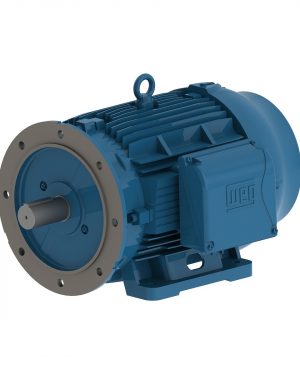 01518ET3Y160LFF-W22 WEG AC Motor