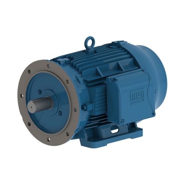 01136ET3Y160MFF-W22 WEG AC Motor